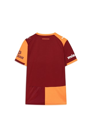 Galatasaray Puma 2025/2026 İç Saha Parçalı Forma 77980901 Sarı - Kırmızı