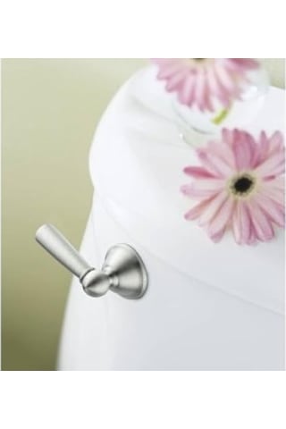 Brushed Nickel - Moen Dn6801bn Sage Inspirations Toilet Tank Le Diğer