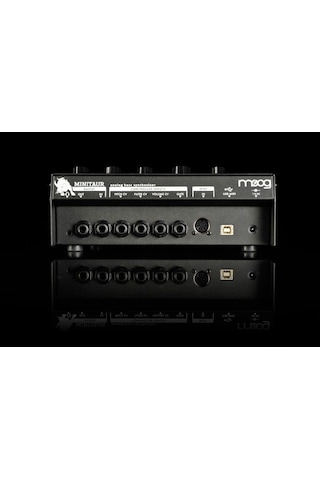 Moog Minitaur Analog Synthesizer