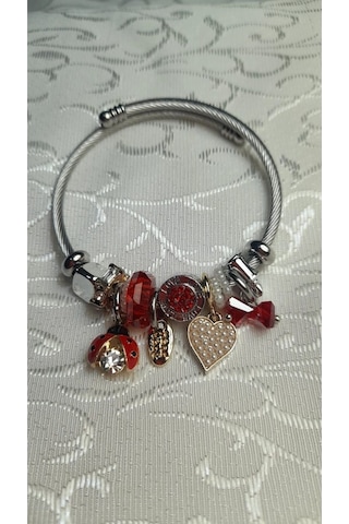Uzel Çelik Gümüş Silver Model Inci Kalpli, Uğur Böceği Charmlı Çelik Bileklik Kırmızı