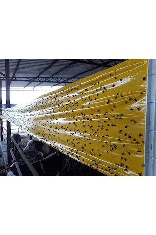Karasinek Tuzagı Sinbant 15Cmx100 Metre
