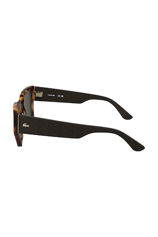 Lacoste L 6053s 214 52 Kadın Cat Eye Kırçıllı Kahverengi Kemik Güneş Gözlüğü Kahverengi