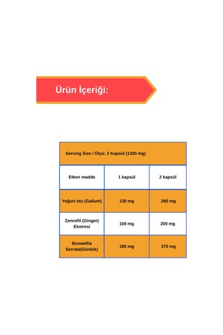 Afye Pek Günlük,yoğurt Otu, Zencefil 50 Kapsül