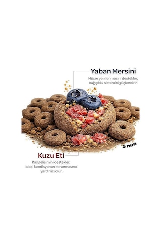 Obivan Kuzu Etli Ve Yaban Mersinli Yetişkin Kedi Maması 2 Kg
