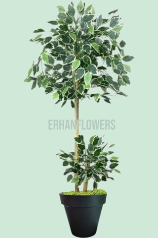 150 Cm Ficus Yapay Ağaç Bambu 2 Gövdeli Siyah Plastik Saksı Yeşil