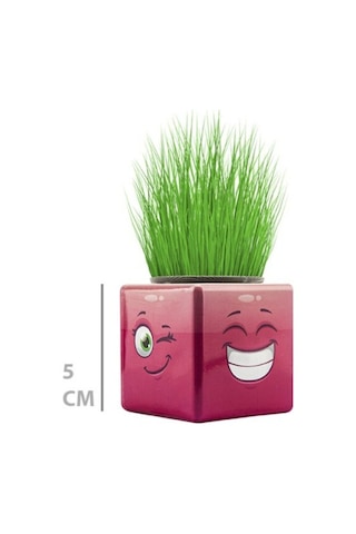 Büro Ev Ofis Dekoru İçin Mini Emoji Figürlü Küp Çim Adamı