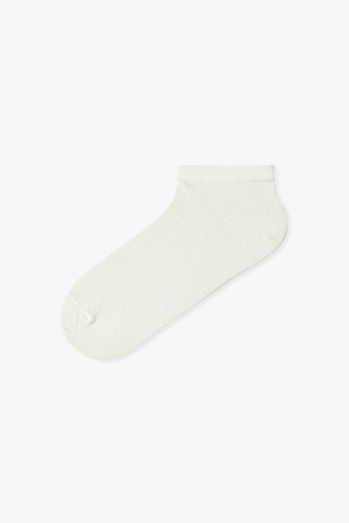 Penti Renklied Thin Stripes 5'li Patik Çorap