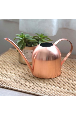 Monyee Gül Altın Rengli Çelik Sulama Kettle, 500ml, Dış Cepheli, Bitki Bakımı İçin Uygun, Dayanıklı Ve Pratik