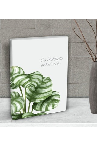 Bk Gift Green Plant Tasarımlı Dekoratif Mini Kanvas Tablo 15X20Cm (506660602)