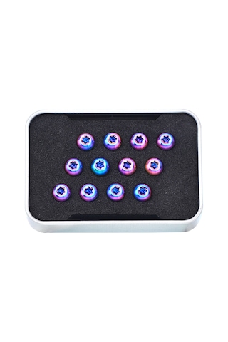 Lemestar Titanium M5x10mm T25 Bisiklet Fren Disk Çivileri, Ultra Hafif Dayanıklı, Renkli, Dağ Bisikleti Aksesuarı 12 Adet + Depolama Kutusu Çok Renkli