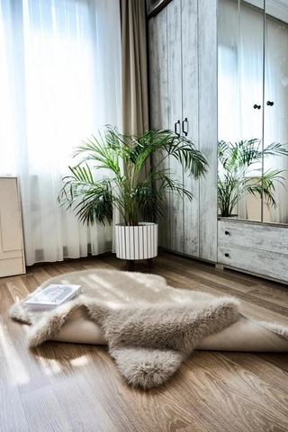 Apex Reiki Vizon Peluş Post Şekilli Halı Vizon