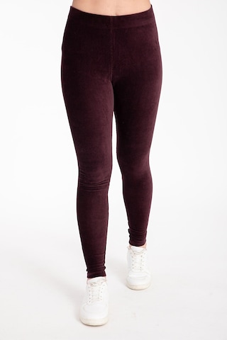 Fitilli Kadife Tayt Bordo Kadın Fitilli Kadife Yüksek Bel Tayt No Color