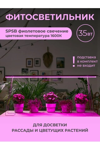 Uniel Bitkiler Ve Fideler İçin 35w Fitolamba 185197377 Violet