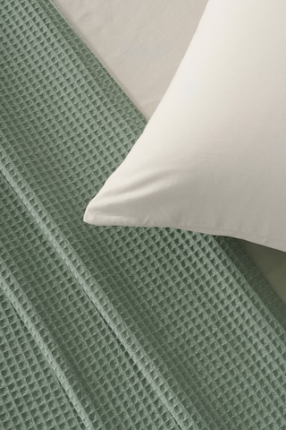 Brine Tek Kişilik %100 Pamuk Pike - Adaçayı