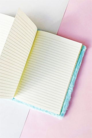 Çılgıntrend Puppy Peluş Defter