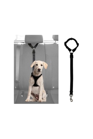 Araç İçi Kedi Köpek Emniyet Kemeri