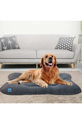 Mavi Vitrin Sıvı Geçirmez Silinebilir Soft İç Dış Mekan Büyük Irk Köpek Yatağı 100 x 65 CM