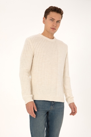 U.S. Polo Assn. U.s. Polo Assn. Erkek Kazak /triko 50314968-vr256 İnci