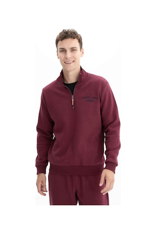 Arma Erkek Büyük Beden Yarım Fermuar Dik Yaka Sweatshirt 001