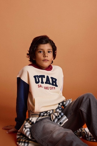 Defacto Erkek Çocuk Oversize Geniş Kalıp Kapüşonlu Baskılı İçi Yumuşak Tüylü Sweatshirt G5561a825cwer233 Ekru-er233