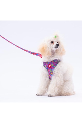 Pawstar Hearts Leash Kedi Köpek Sevk & Gezdirme Kayışı Köpek Uzatma Tasması Mor