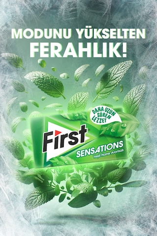 First Sensations Yeşil Nane Aromalı Sakız 12 x 27 G