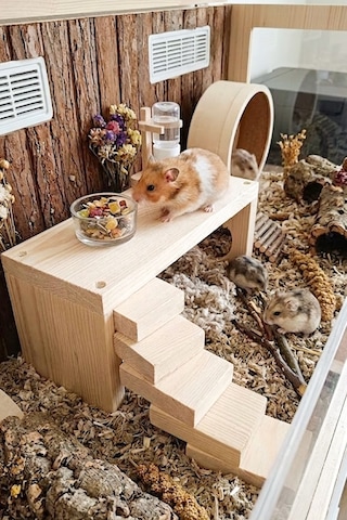 Doğal Ahşap Hamster Platformu & Oyun Alanı 25x11x10 Cm - Kemirgen Ara Kat Yuvası