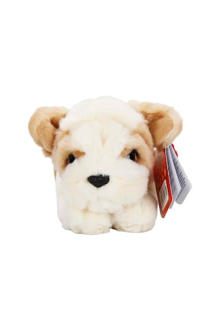 Yumuşacık Dokusu Ve Sevimli Yüzüyle Bulldog Peluş, Kalpleri Fethediyor