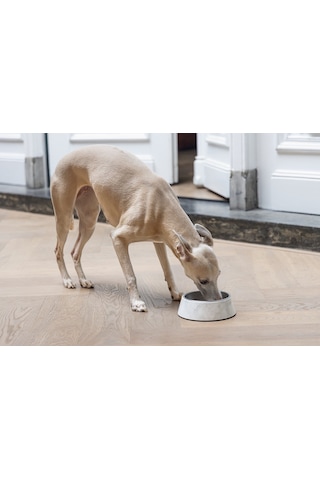 Beeztees Dbl Köpek Mama Su Kabı, Mat Paslanmaz Çelik, Beyaz Mermer Görünümlü, 17,5cm, 350ml