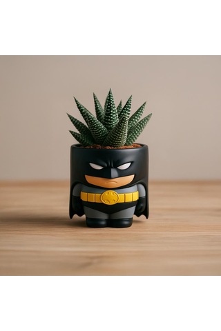 Batman Figürlü Mini Saksı
