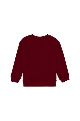 U.S. Polo Assn. Erkek Çocuk Bordo Bisiklet Yaka Sweatshirt 50313843-VR014