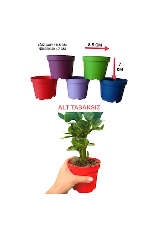 20 Adet KÜÇÜK BOY Plastik 5 Renkli Çiçek Üretim Saksısı (8.5 CM.LİK) Alt Tabaksız