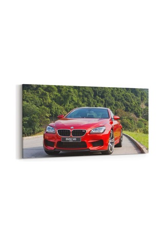 Olla 120x60 Cm 12269yd Araç Görseli Yatay Dar Kanvas Tablo