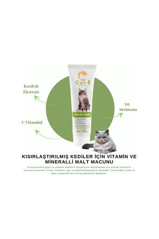 Amica Cat-e Sterile Paste Kısırlaştırılmış Kediler İçin Vitamin ve Minarelli Malt Macunu