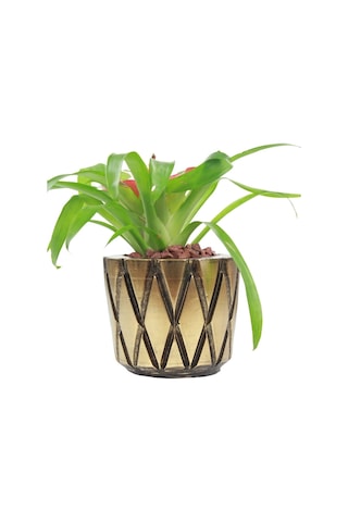 Saksı Çiçek Kaktüs Saksısı Lüx 15 Cm Baklava Desen Saksı Çiçeklik - Altın Eskitme