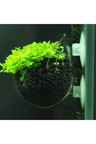 Hfambition Akvaryum Bitki Suction Cup Cam Süs Tepsi - Balık Saklanma Ve Gelişme İçin Doğal Ortam, Işık Ve Hava Akışı Sağlar