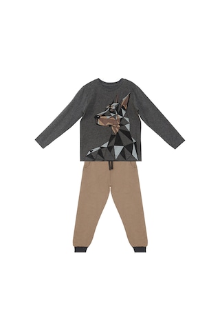 Denokids Mshb&g Doberman Erkek Çocuk T-shirt Pantolon Takım Çok Renkli