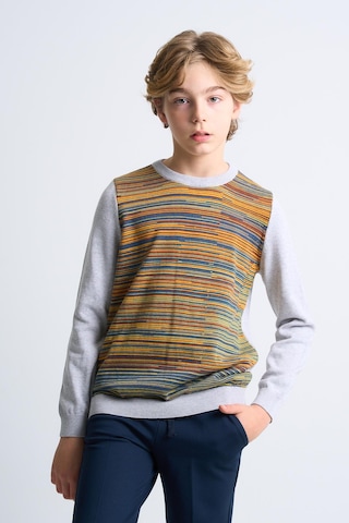 Alexandergardı Desenli Çocuk Triko Kazak C21-18672 Gri