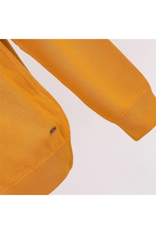 Dio Rise Erkek Şardonsuz Uzun Kol İnce Polo Yaka Kazak - 189009 - Koyu Mango Koyu Mango