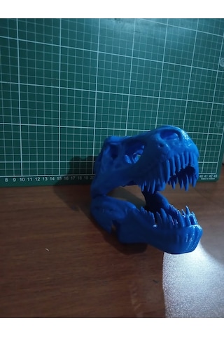 Trex İskelet Kuru Kafa Biblo Heykel