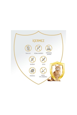%96 Proteinli Tahılsız Somonlu Ezme Yetişkin Kısır Kedi Konserve Maması 400 Gr X 2 Adet