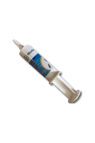 Bayer Maxforce IC Hamam Böceği Jeli 2 x 20 G