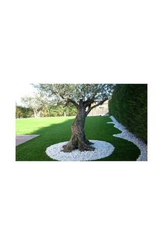 Ekodoğa Beyaz Dolomit 20 Kg 6-10 Cm Taş Bahçe Süs Taşı Dekoratif Taş Dere Taşı Loche