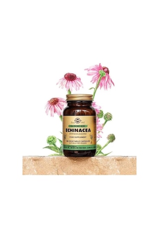 Solgar Echinacea 520 Mg 100 Kapsül 2 Adet