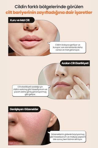 Cilde Sıkı Görünüm Ve Nem Sunan Aydınlatıcı Yaşlanma Karşıtı Serum Telse Black Bean Ceramide Serum