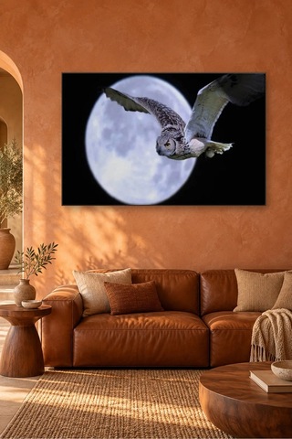 Fida Dolunayın Önünde Uçan Baykuş Canvas Tablo Çok Renkli