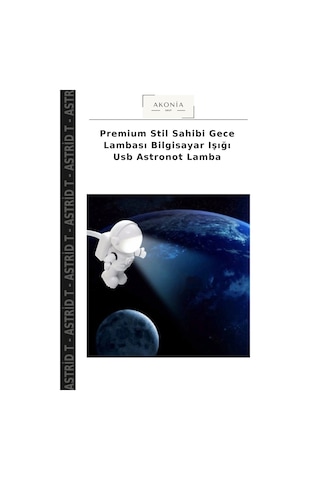 Premium Stil Sahibi Gece Lambası Bilgisayar Işığı Usb Astronot Lamba