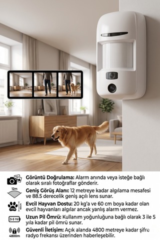 Pır Cam Kameralı Kablosuz Hareket Sensörü Gece Görüşlü