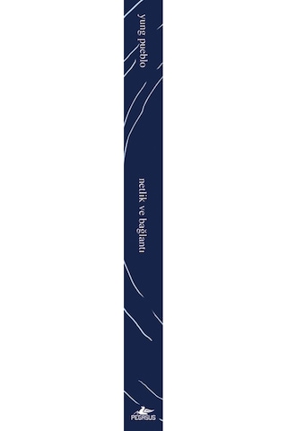 Netlik Ve Bağlantı - İçindeki Evren Üçlemesi 2. Kitap Yung Pueblo
