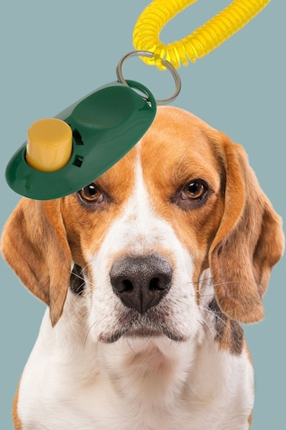 Köpek Cliker Eğitim İçin Ayarlanabilir Yüksek Sesli Eğitim Aleti Yüksek Sesle Tıkırtı
